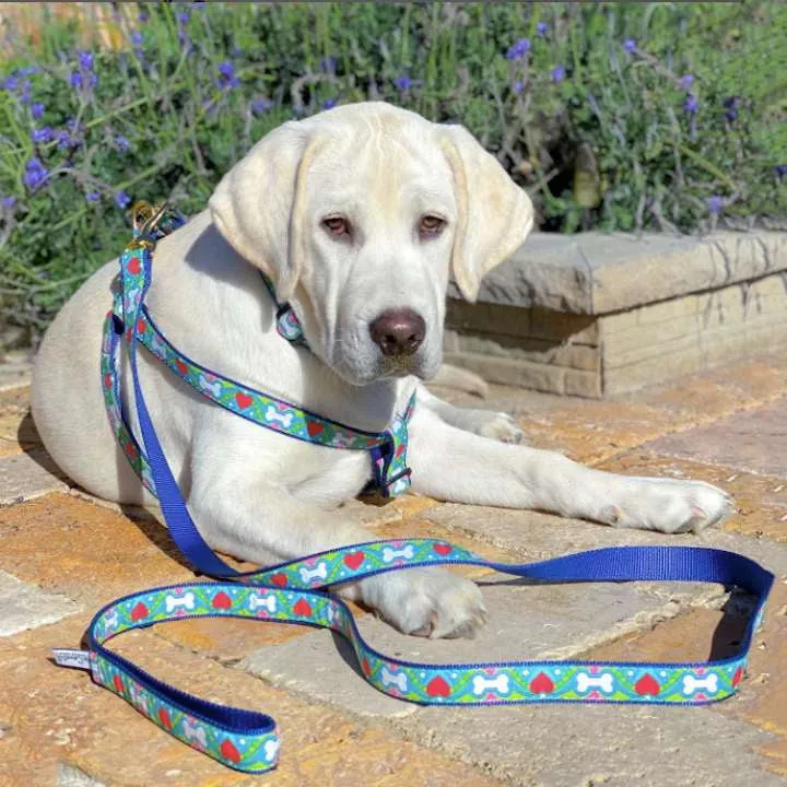 Leash | Coloring Book