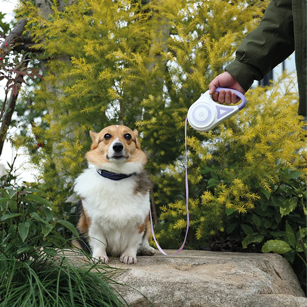 M-PETS Flash Retractable Leash White & Purple