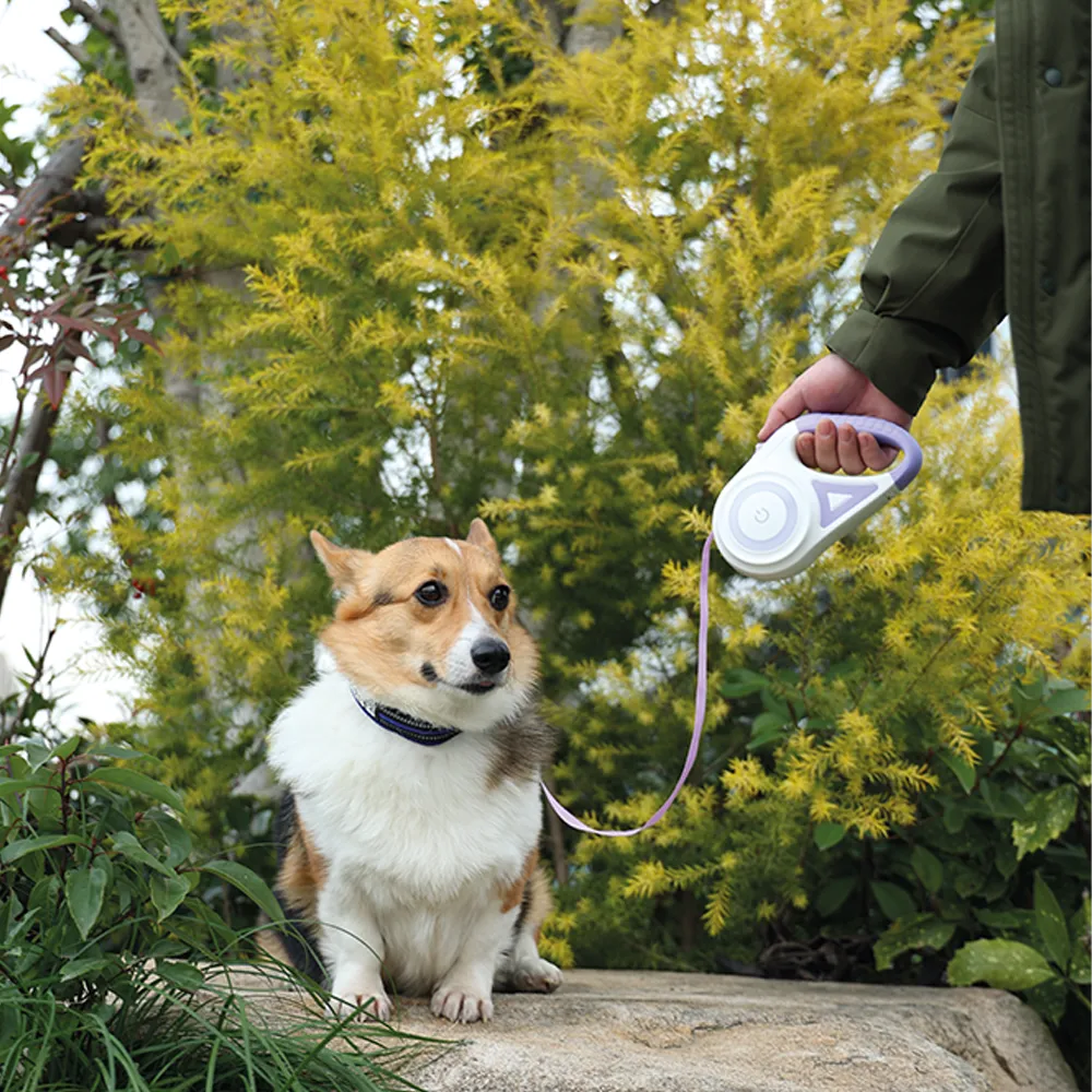 M-PETS Flash Retractable Leash White & Purple