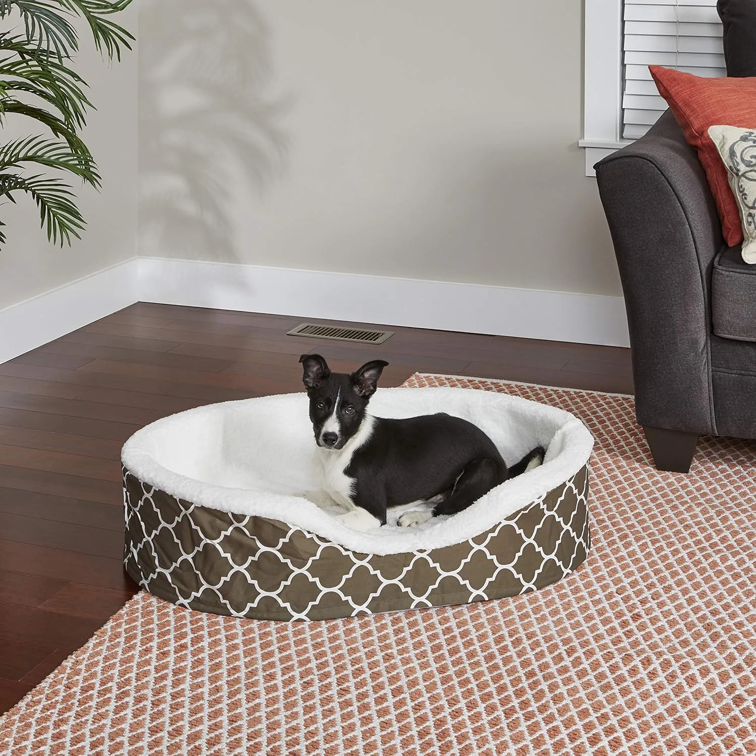 MidWest Homes for Pets Orthoperdic Egg-Crate Nesting Pet Bed w/ Teflon Fabric Protector, Large Brown