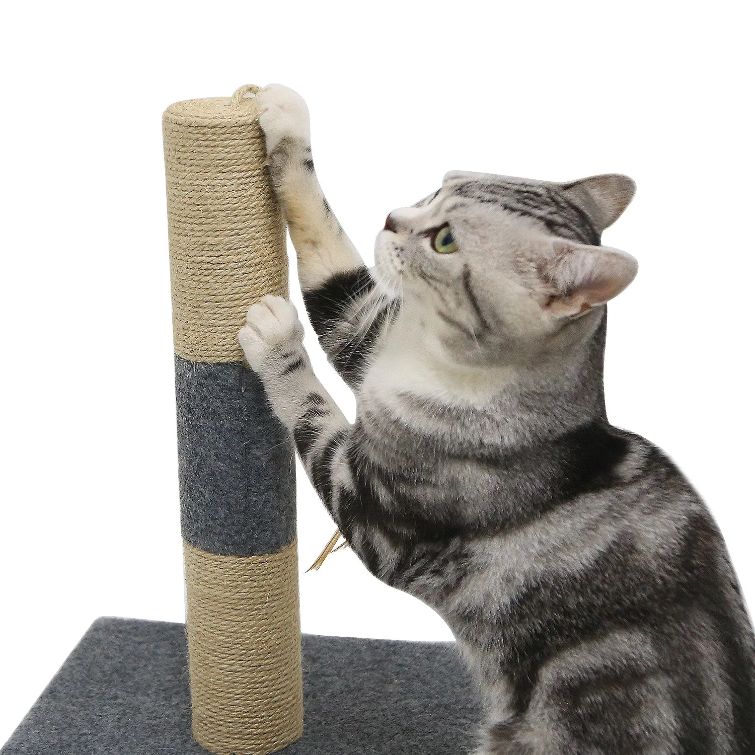 Mini Cat Scratching Tree, Has Cat Toy with Feathers