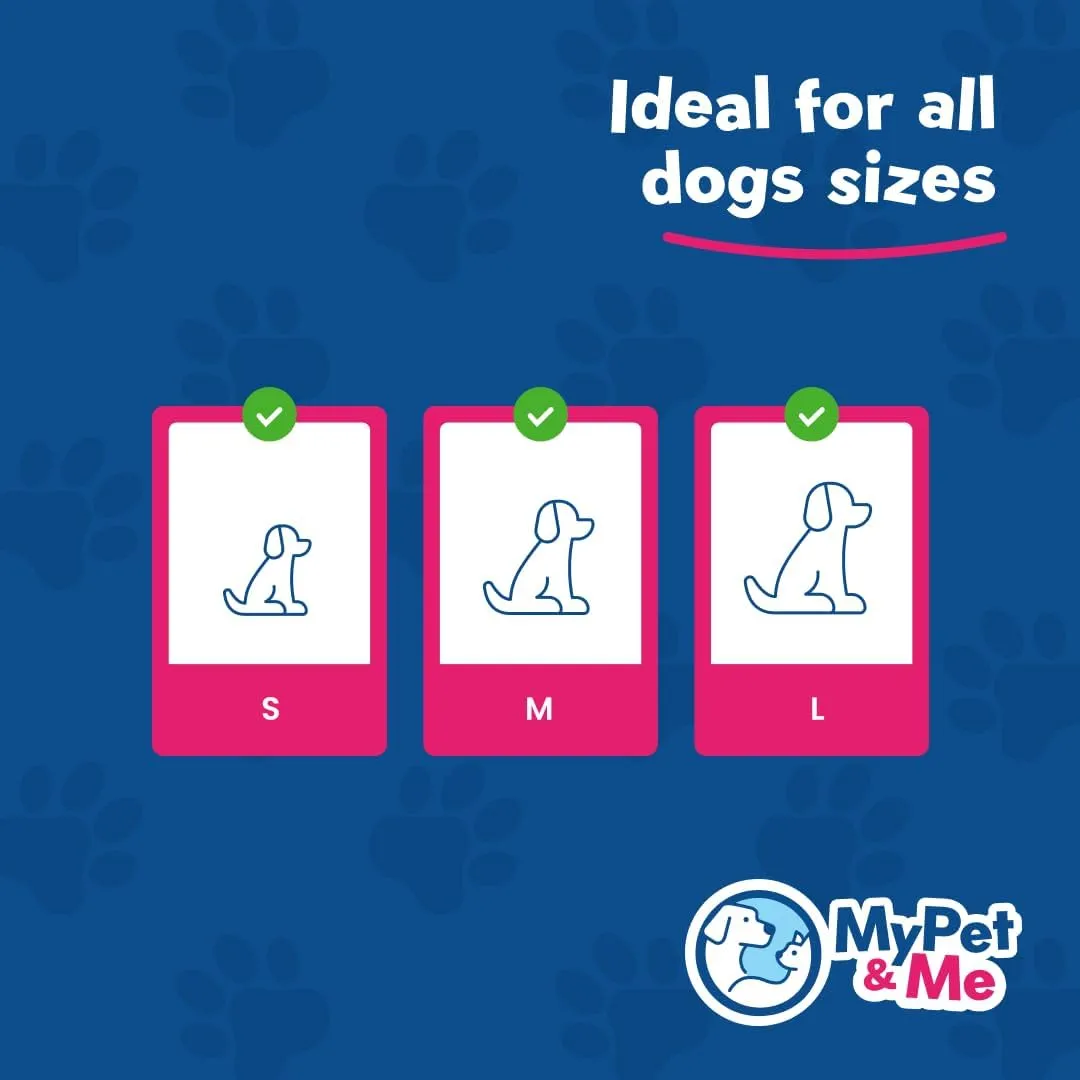 My Pet & Me - Squeaky Dog Toy  Durable Stuffed for Dogs, Perfect for Chewing, Fetch, and Teething  Interactive Squeaker Latex Toy for Puppies and Playful Chewers (White Chicken, 7.8 Inch)