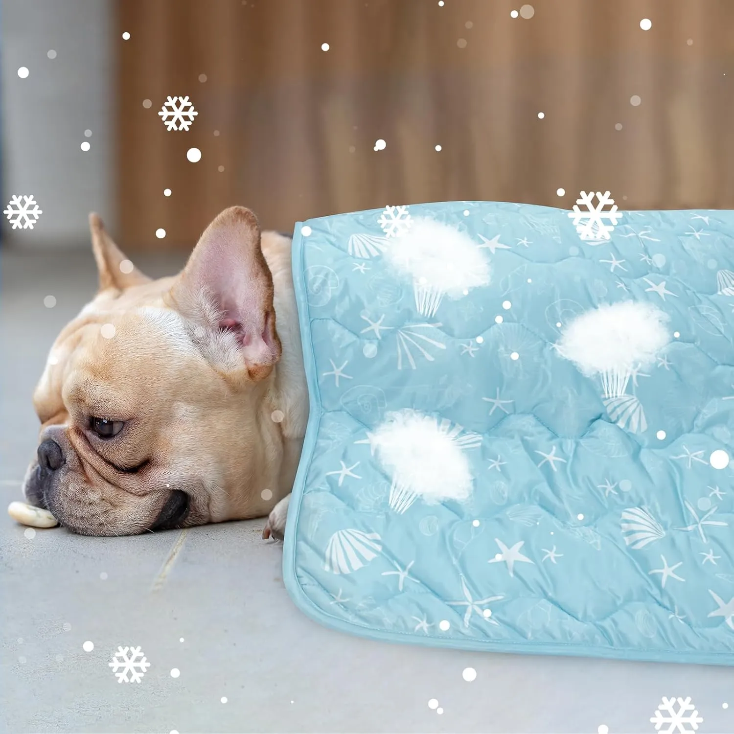 NACOCO Pet Summer Cooling Blanket - 35.4" x 49.2" Double-Sided Mat Dog Puppy Self Cat Pad Bed Cover for Home Outdoor Sofa Sleeping Washable Portable Lightweight Small Medium Large(Blue,M)