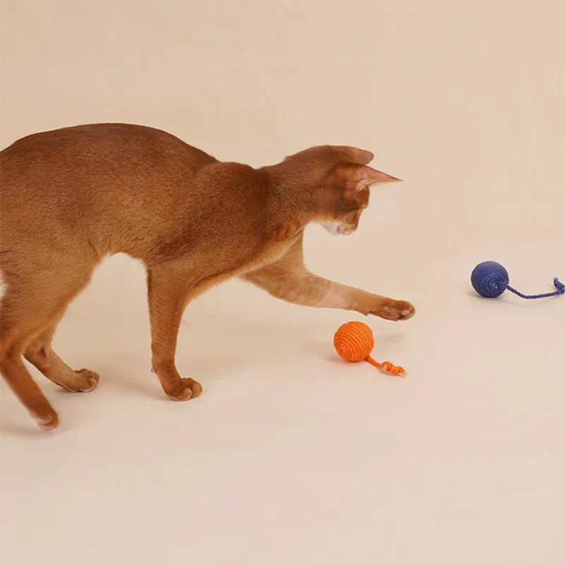 Nature's Playtime Combo