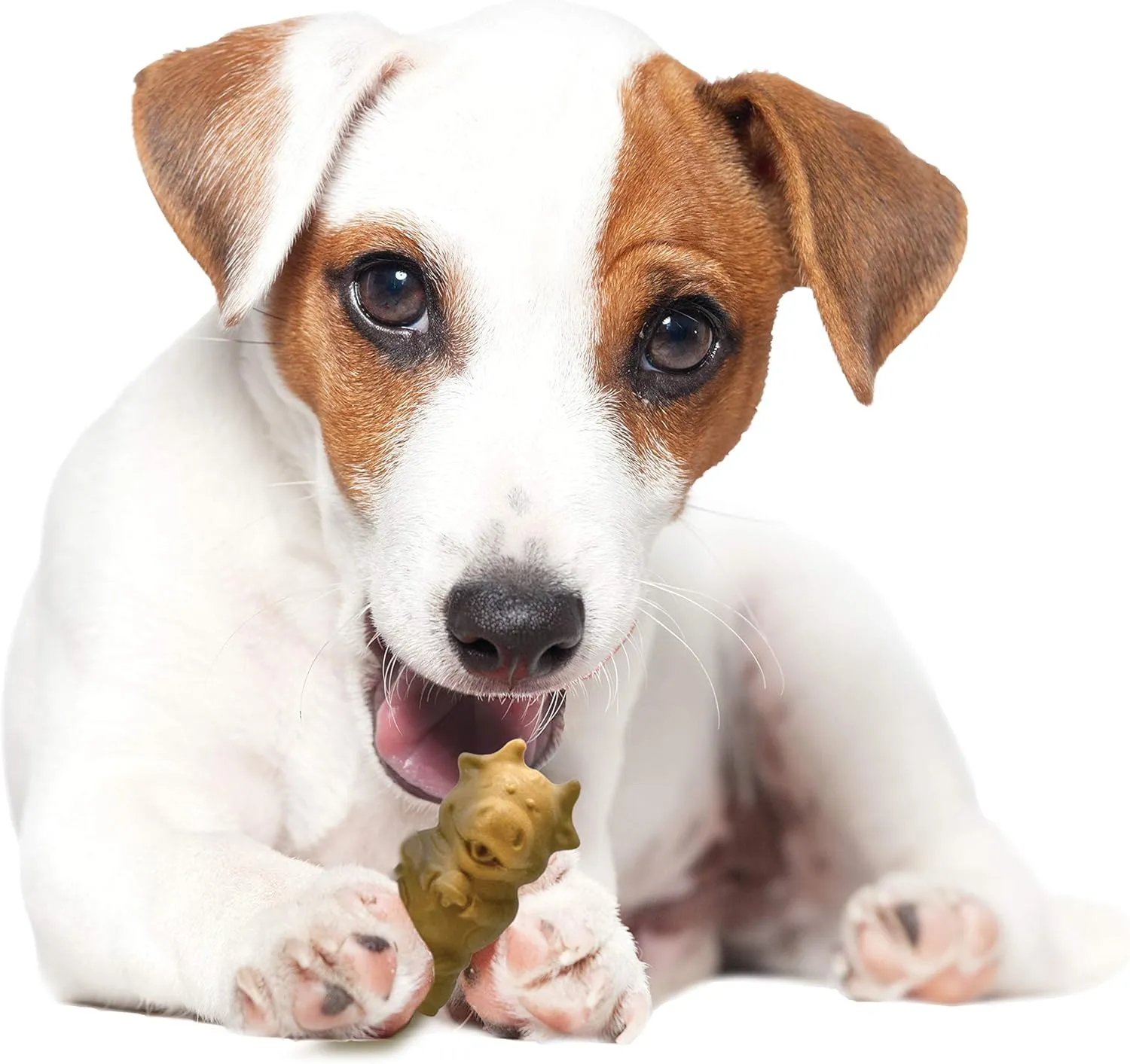 Nylabone Healthy Edibles Natural Puppy Chews Long Lasting Treats for Puppies, Lamb & Apple Flavor, Small/Regular (4 Count)
