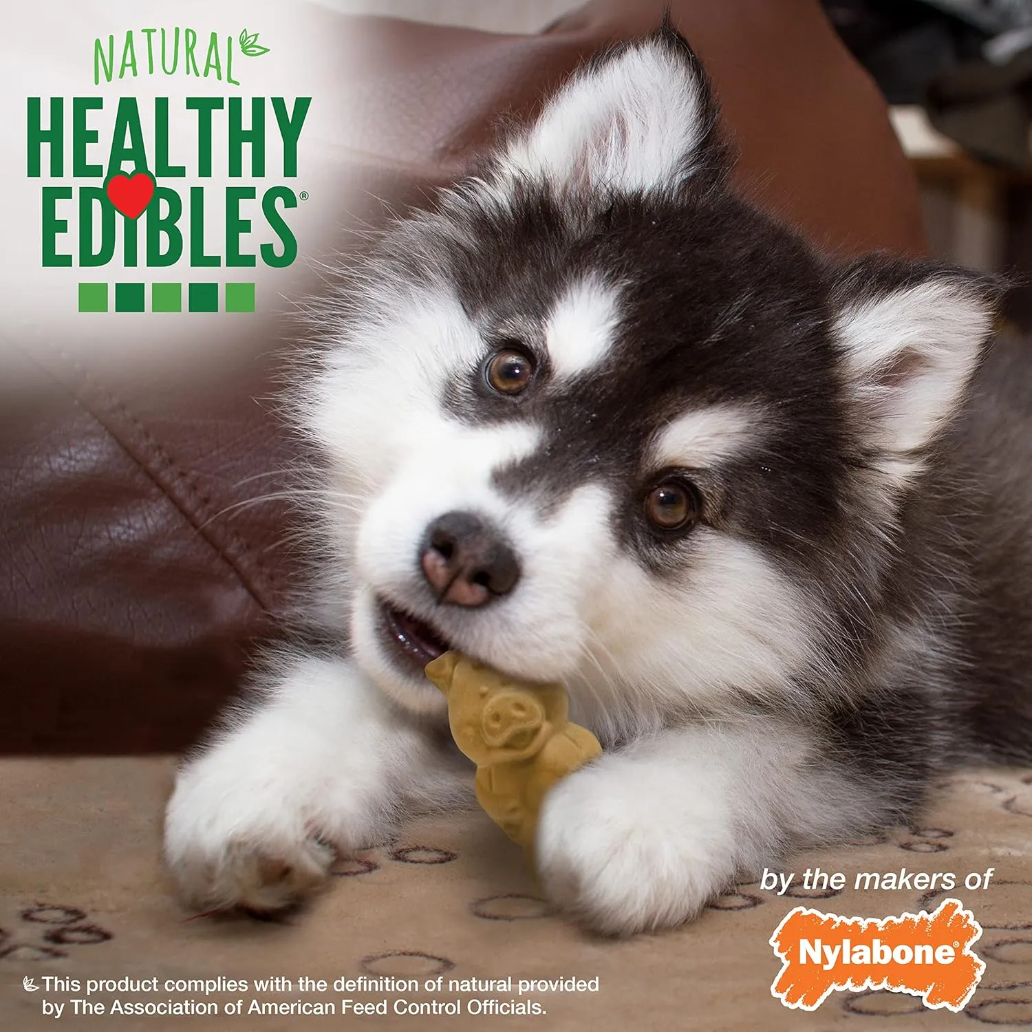 Nylabone Healthy Edibles Natural Puppy Chews Long Lasting Treats for Puppies, Lamb & Apple Flavor, Small/Regular (4 Count)
