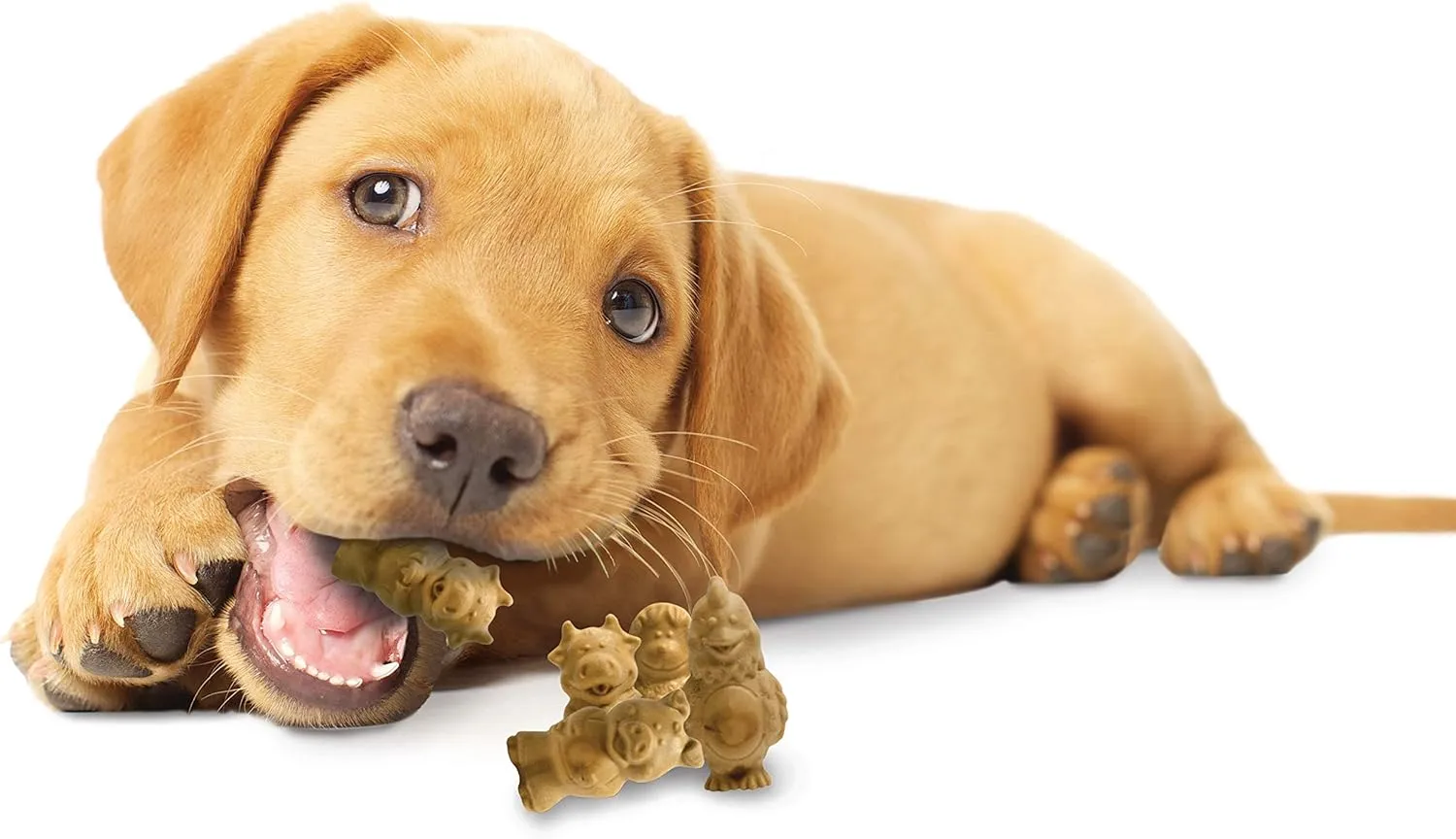 Nylabone Healthy Edibles Natural Puppy Chews Long Lasting Treats for Puppies, Lamb & Apple Flavor, Small/Regular (4 Count)