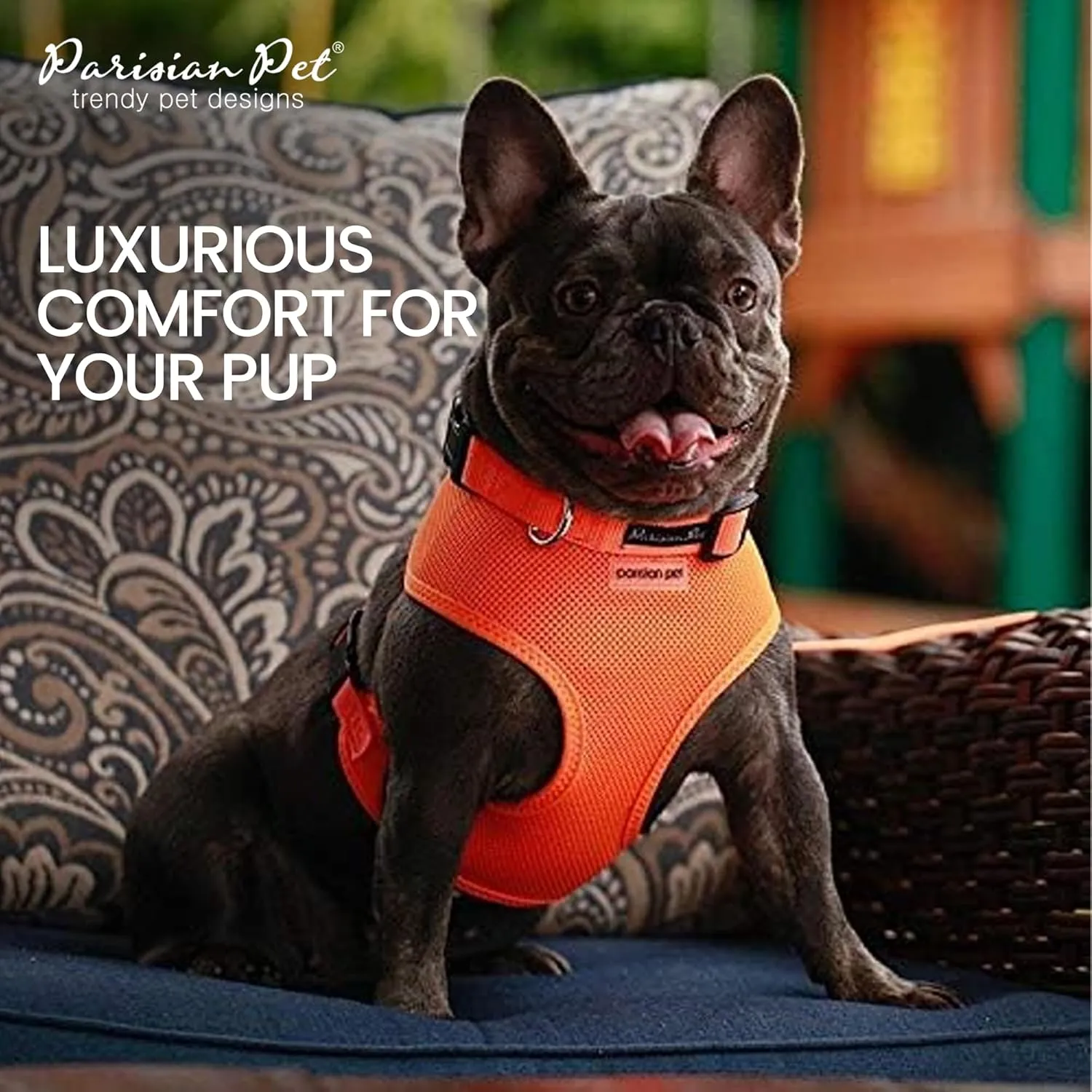 Parisian Pet Orange Dog Harness - AdjustableDog Vest Harness - Soft Padded, No Pull Dog Harness Medium-Sized Dog - Cooling Dog Harness for Walking, Running, and Hiking - M