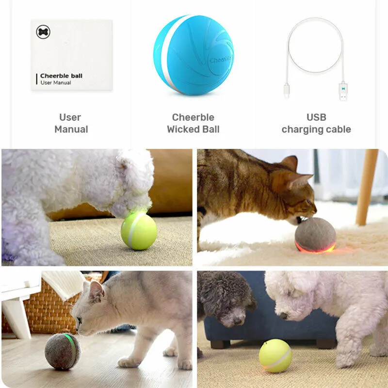 Pat and Pet Emporium | Pet Toys | LED Pet Ball