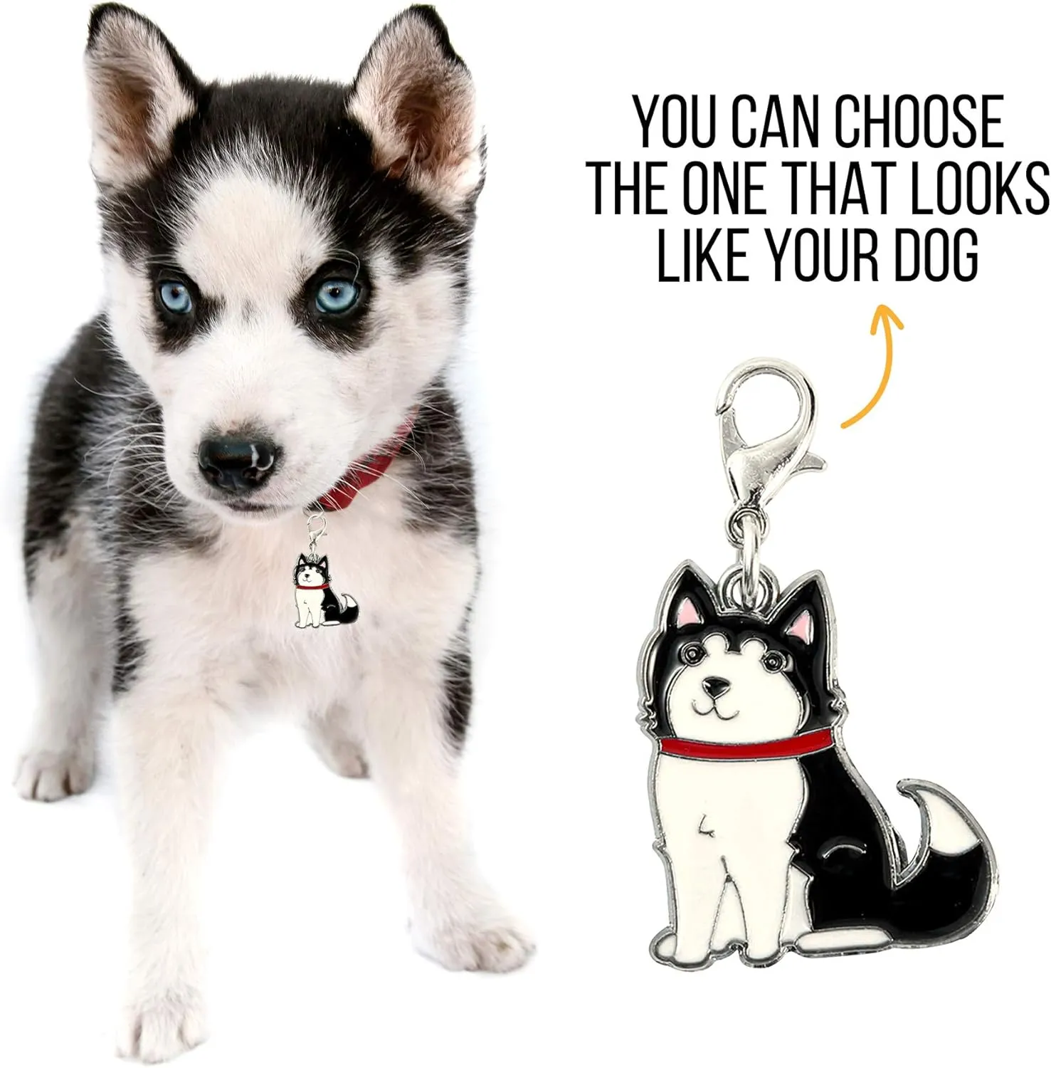 PAWNIMALS Custom Dog Breeds Name Tag ID, Personalized Stainless Steel Engraved Tag with Ring Included, Siberian Husky, Golden, Schnauzer and more (Dog breeds)