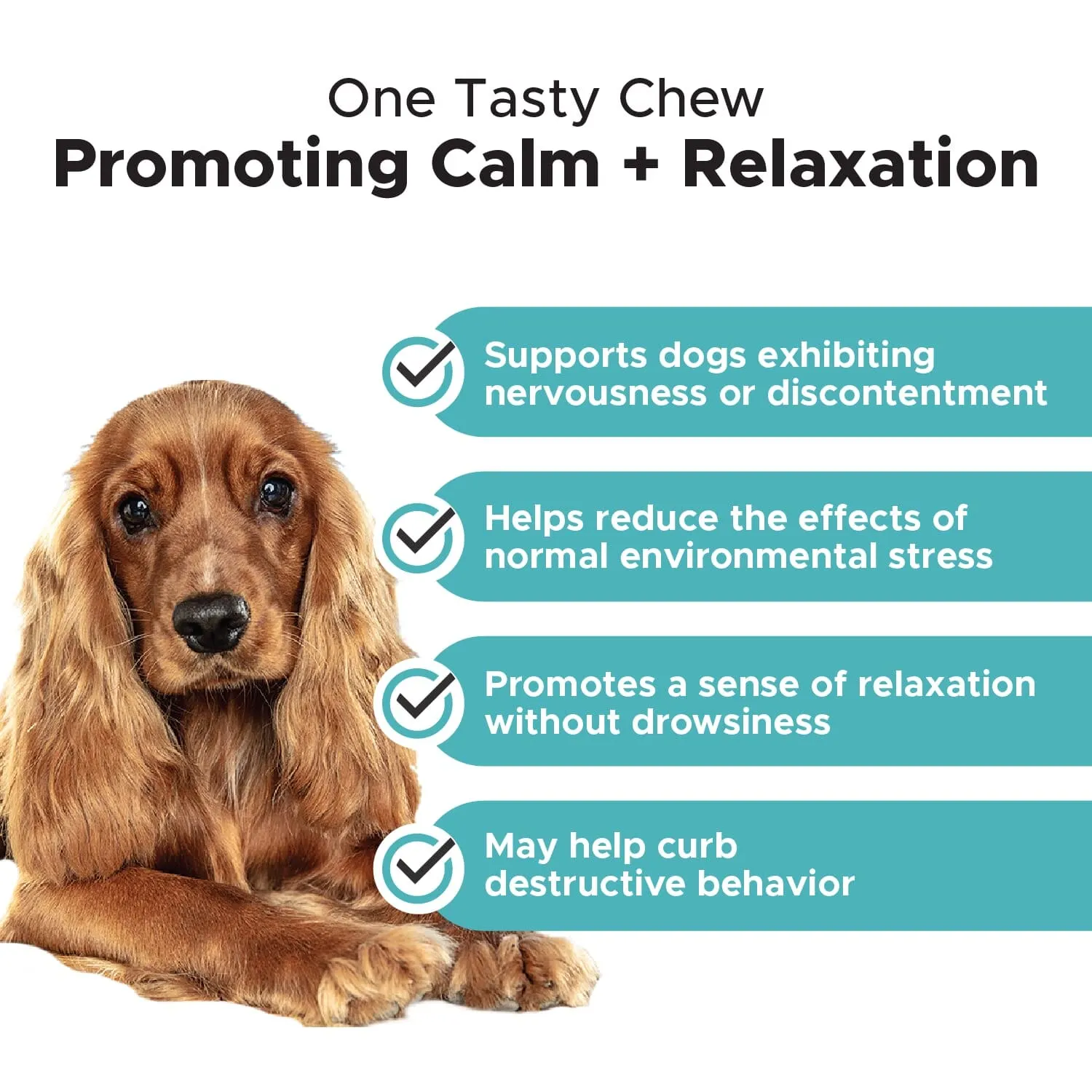 Pet Honesty Hemp and Valerian Root Calming Chicken Chewy Dog Supplements - 90 Count - 9.5 Oz