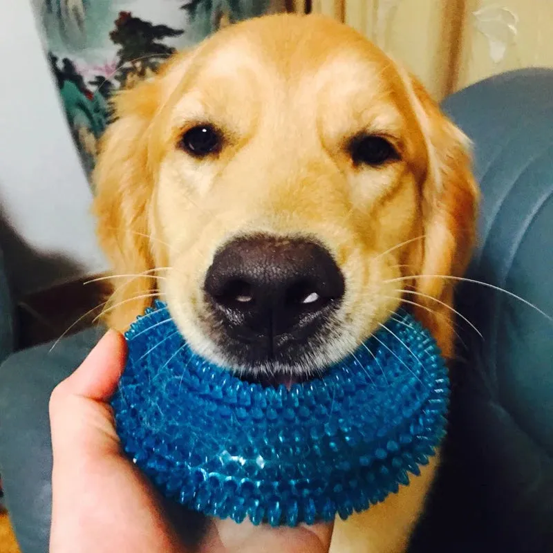 Pet Toys Bite Resistant Sound Toy Ball Chew Teeth Clean Large Dog Golden Retriever Barbed TPR Train Teeth Cleaning Jouet Chien