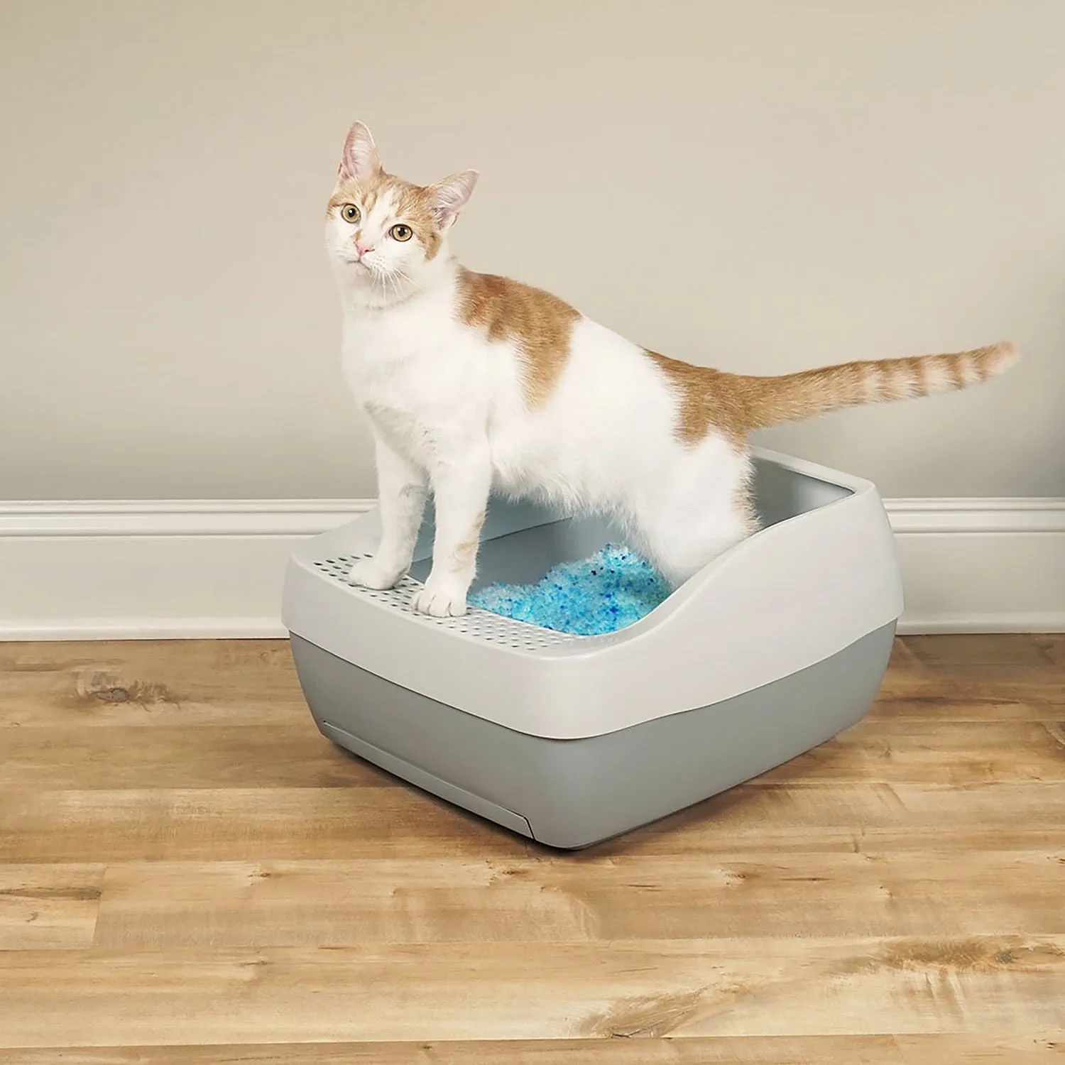 PetSafe Deluxe Crystal Litter Box System (& Accessories)