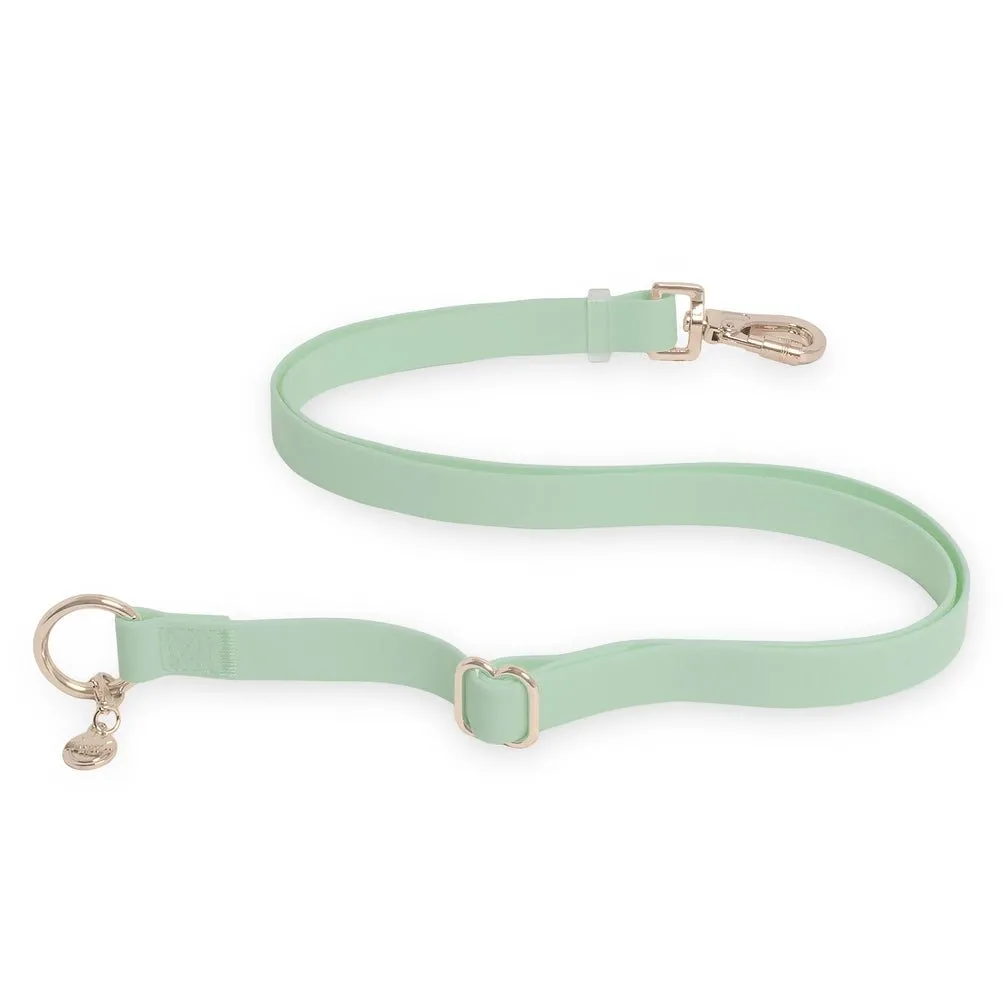 Pistachio Green Hands Free Leash 4-Way Extension