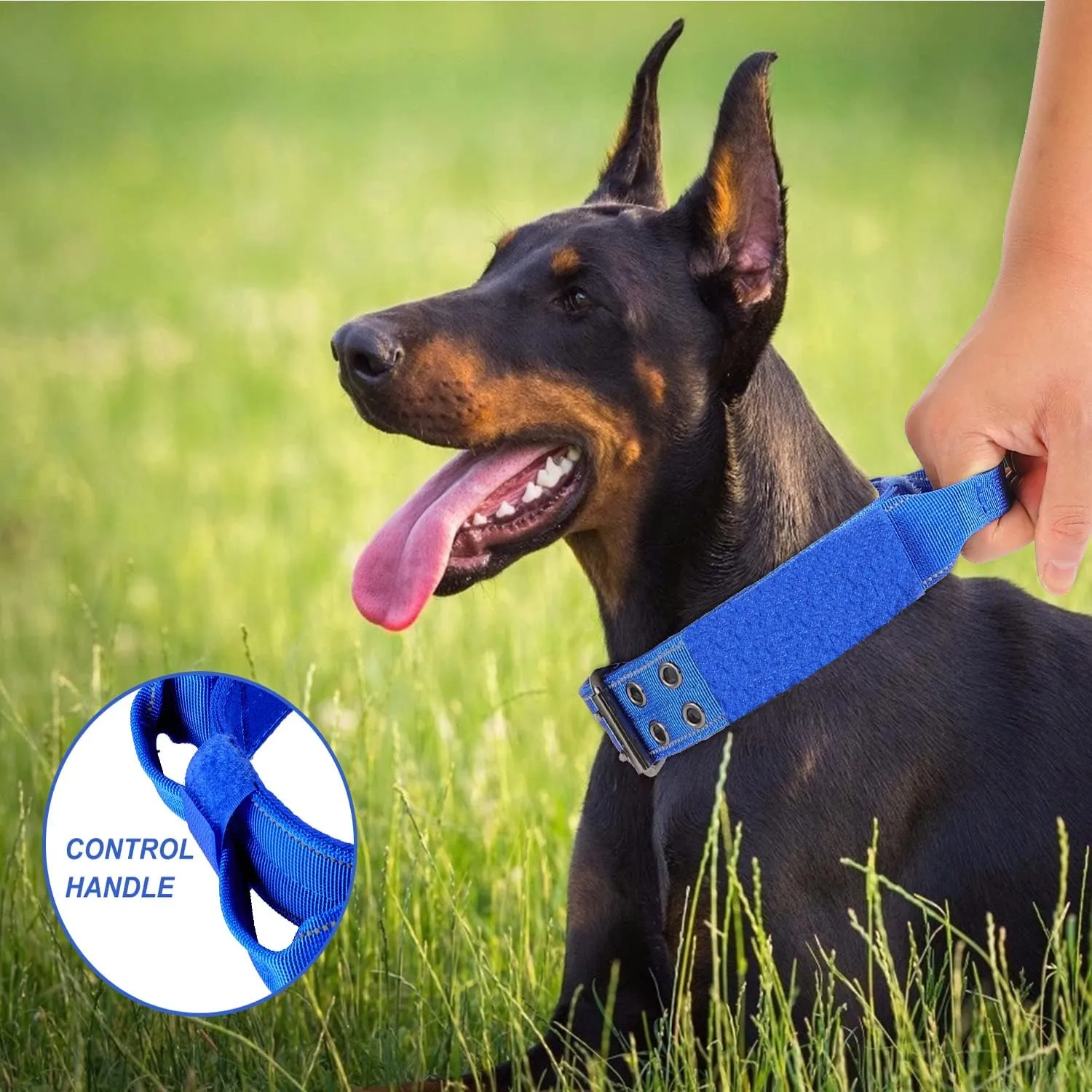 Reflective Dog Collar Heavy Duty Tactical with Control Handle and Metal Buckle for Dog Training(M,Blue)