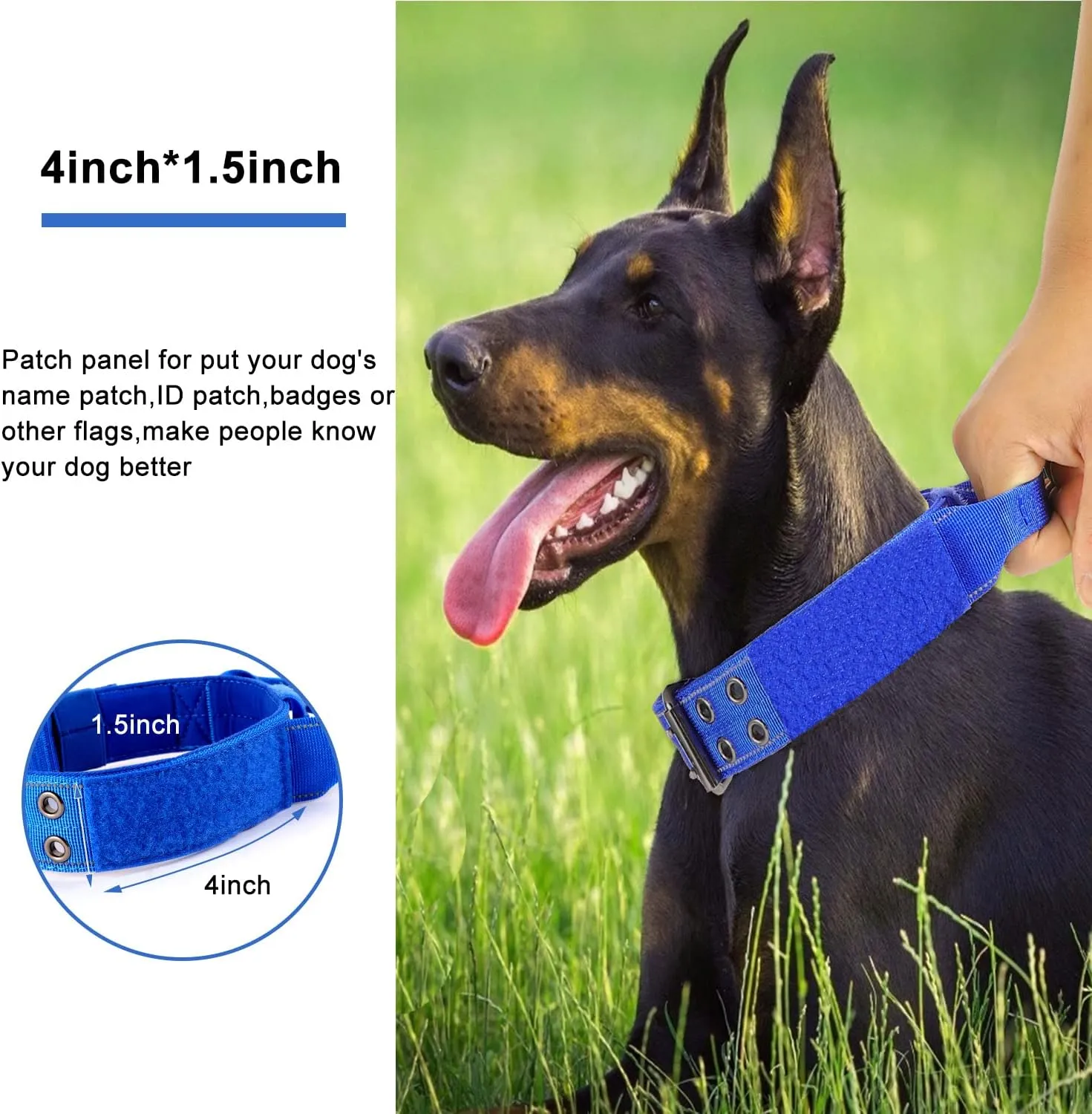 Reflective Dog Collar Heavy Duty Tactical with Control Handle and Metal Buckle for Dog Training(M,Blue)