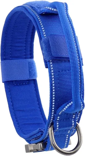 Tactical Dog Collar with Heavy Duty Metal Buckle and Control Handle for Medium Large Dogs Training(Bright Blue, Large)