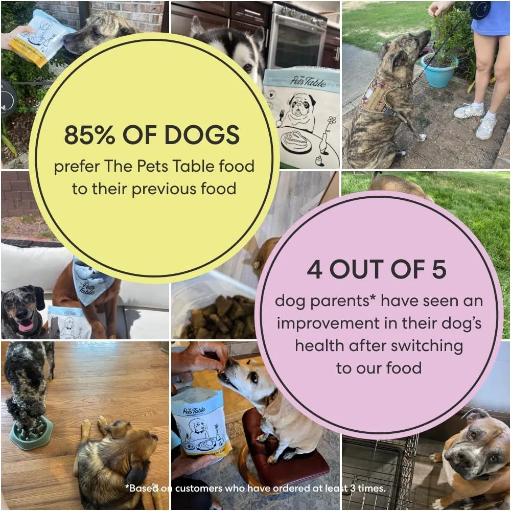 The Pets Table Grain Free Air Dried Dog Food 2 Pack - Beef & Berries   Salmon & Whitefish, 48 Ounce (Pack of 2)