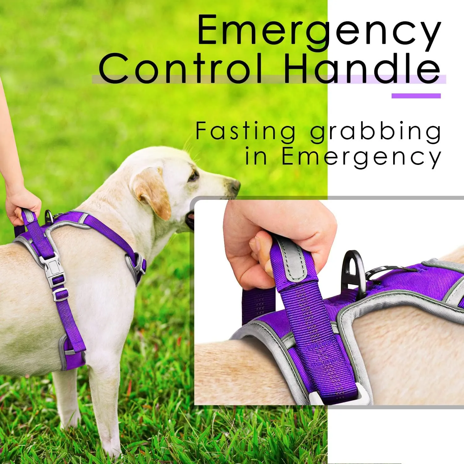 ThinkPet No Pull Harness Breathable Sport Vest with Handle-Dog Harnesses Reflective Adjustable for Medium Large Dogs