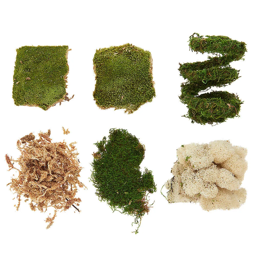 Thrive Tropical Reptile Decorating Kit