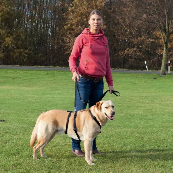 Trixie Stay Harness