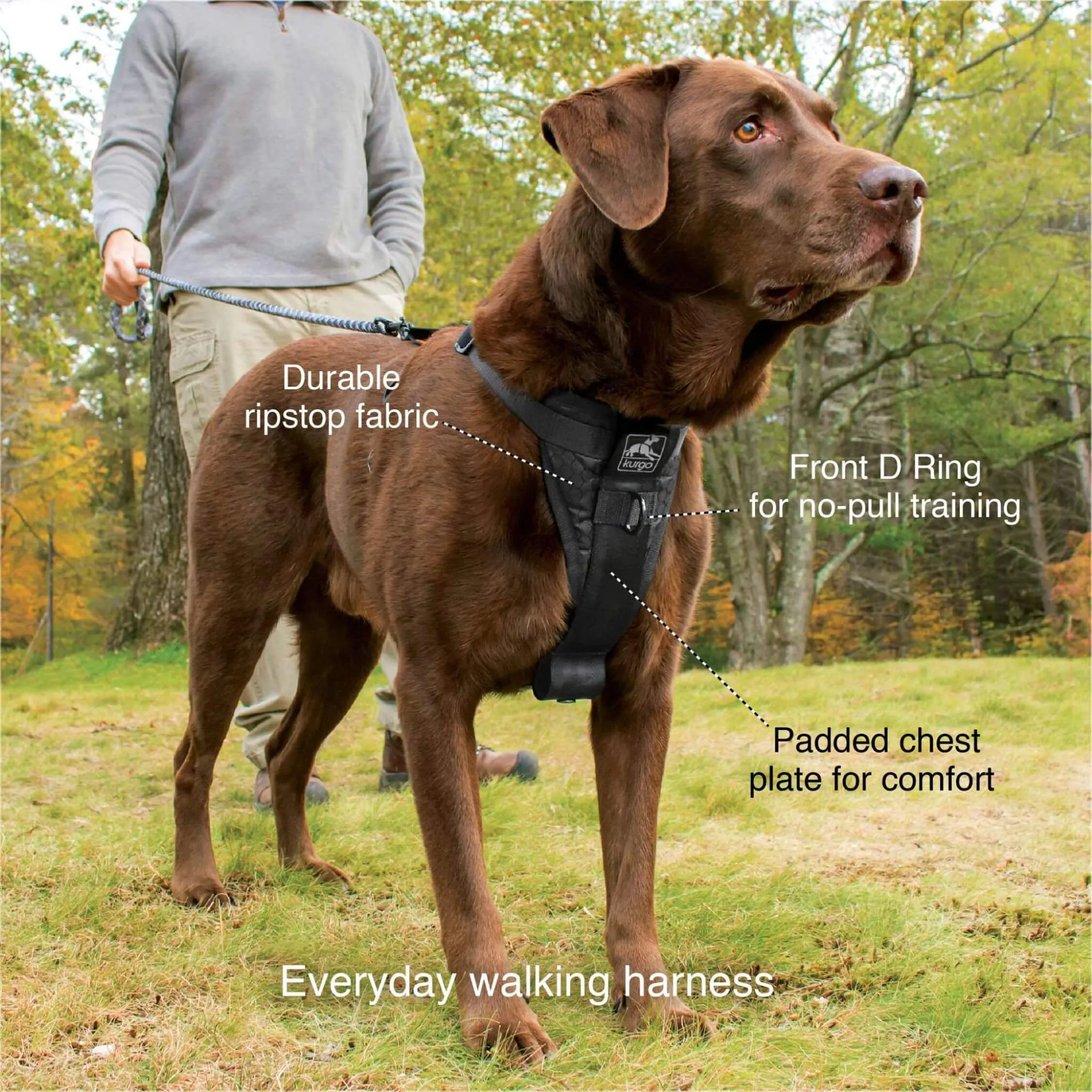 Tru-Fit Smart Dog Harness