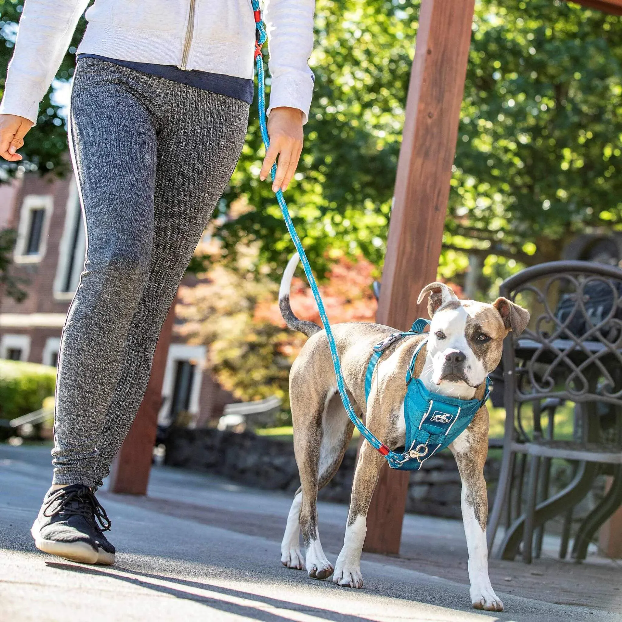 Tru-Fit Smart Dog Harness