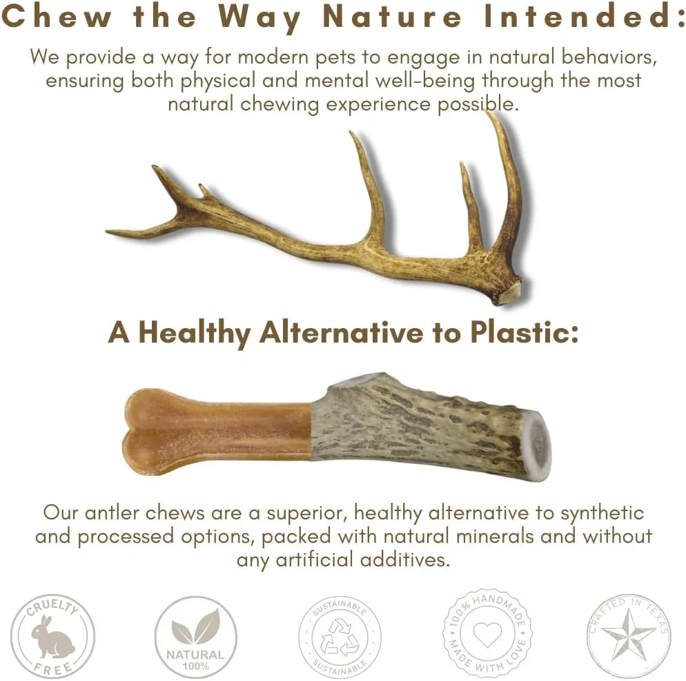 WhiteTail Naturals - Deer Antlers for Large Dogs - (1 Pack - Extra Large) - All Natural Dog Antler- Naturally Shed, Long Lasting Chew Bone, Crafted in USA for Aggressive Chewers