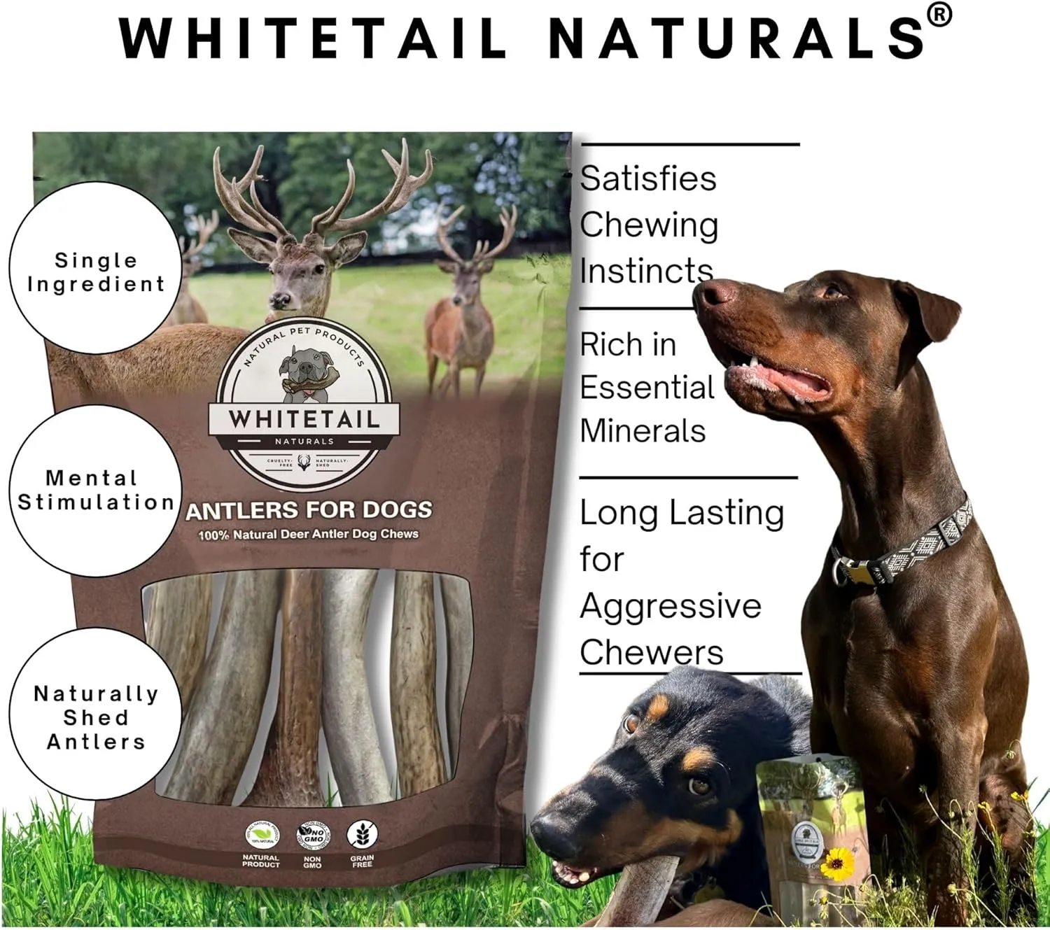 WhiteTail Naturals - Deer Antlers for Large Dogs - (1 Pack - Extra Large) - All Natural Dog Antler- Naturally Shed, Long Lasting Chew Bone, Crafted in USA for Aggressive Chewers