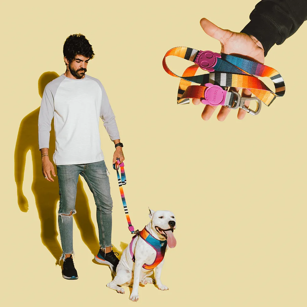 Zee.Dog Prisma Leash