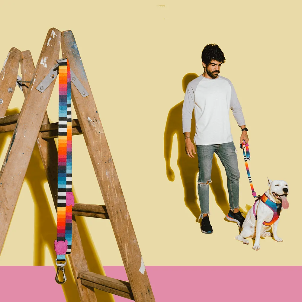 Zee.Dog Prisma Leash