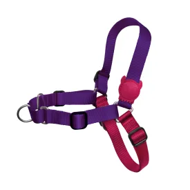 Zee.Dog Vega Soft-Walk Harness
